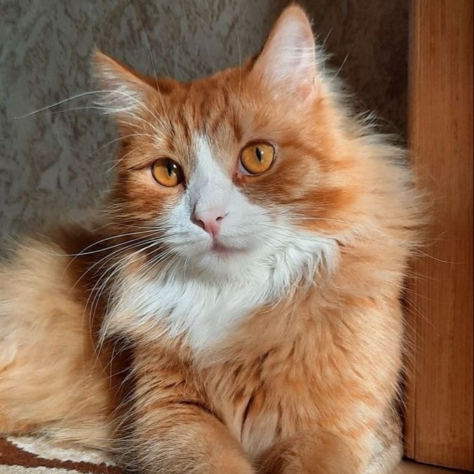 Аватар