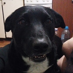 Аватар
